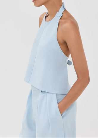 Backless Halter Top